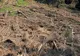 Mai multe alunecări de teren s-au înregistrat în Dâmboviţa, din cauza precipitaţiilor abundente