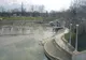 Muncitorii chinezi la pescuit pe Herăstrău