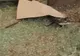 50 de magazine şi mai multe bănci au fost vandalizate de anarhişti, la Atena