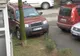 Parcat pe spaţiul verde
