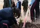 2.000 de puieţi au fost plantaţi de elevii Colegiului Militar din Alba Iulia 