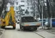 Toaletarea copacilor în sectorul 4