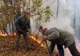Un incendiu de vegetaţie uscată a îngreunat traficul în comuna Scoarţa