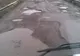 Drum din judeţul Bihor, între Marghita şi Suplacul de Barcău