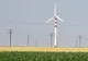 Un parc eolian de 80 MW, investiţie de 130 milioane euro, va fi pus în funcţiune lângă Râmnicu Sărat