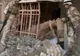 25 de persoane au murit într-un atentat cu bombă la Bagdad