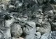 Poliţia columbiană a descoperit 3,5 tone de cocaină într-un port