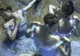 Expoziţia cu operele lui Degas a adus capitalei Australiei un profit de 30 de milioane de dolari
