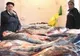 Vânzările au scăzut drastic faţă de anul trecut, în pescăriile din Brăila 