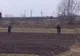 Agenţia de Plăţi şi Intervenţii în Agricultură le plăteşte fermierilor subvenţiile