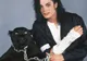Ecologiştii îi solicită lui Michael Jackson să nu folosească elefanţi şi pantere în turneul său