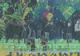 FC Vaslui: Liderul galeriei a primit interdicţie timp de un an pe stadioanele din România