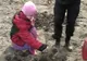 250 de pompieri din Galaţi au plantat 6.000 de plopi albi 
