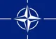 Parlamentarii au sărbătorit, marţi, cinci ani de la aderarea României la NATO 