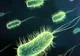 Au fost descoperite trei noi specii de bacterii la 40 de kilometri altitudine