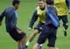 Steaua: Sorin Ghionea a suferit o entorsă la genunchi