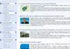 MAE verifică informaţiile despre permisele false eliberate de soţia consulului Dinu