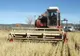 ADVERTORIAL: Ministerul Agriculturii iniţiază programul de informare a producătorilor agricoli