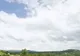 Investiţiile în terenurile agricole şi în păduri vor fi în top în 2009 