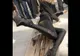 Heidi Klum, divă pe tocuri de 30 cm
