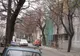Schelele printre copacii din Capitală