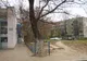 Gardul şi pomul