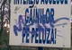 Interzis accesul găinilor pe peluză