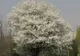 Natura la începutul primăverii