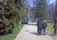 Parcarea în parcul Copou din Iaşi