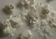 Doi români au fost arestaţi în Maroc pentru trafic de cocaină