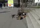 Somn de primăvară