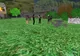 Sat românesc în Second Life