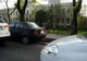 În Craiova, o maşină a fost parcată pe florile de pe marginea şoselei