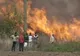 Un incendiu de vegetaţie a distrus un câmp din Prahova