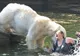 Top zece al celor mai periculoase animale de pe planetă