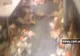 Cel mai murdar fast-food din lume se află în Australia - VEZI VIDEO