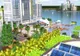 Primul oraş alimentat numai cu energie solară va fi construit în Florida - GALERIE FOTO