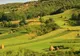 Proprietarii de pensiuni din ţară au pregătit bucate tradiţionale şi programe artistice pentru turişti