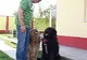 Stăpânii de animale care pleacă în vacanţă îşi pot lăsa câinii la pensiuni 