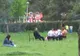 Picnic în parc, de Paşte
