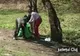 Sibienii care au făcut grătare au lăsat în urmă tone de gunoaie 