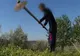 Copiii unei familii din judeţul Vaslui au renunţat la şcoală, băieţii fiind nevoiţi să muncească cu ziua prin sat