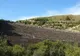Peste 100 de hectare au fost afectate de un incendiu în apropiere de Barajul Runcu-Firiza