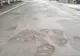 Drumurile din Hunedoara sunt pline de gropi