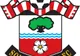 Anglia: Southampton a fost depunctată şi va retrograda în liga a treia