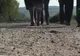 Profesorii care predau în Brestovăţ merg zilnic 30 de kilometri pentru a ajunge la şcoală