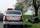 Şapte persoane au ajuns la spital, după ce o maşină a lovit o căruţă în judeţul Timiş