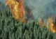 Trei hectare de pădure au ars în zona Muntele Rece, jududeţul Cluj 