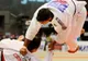 Judo - Daniel Brată a cucerit medalia de bronz la categoria -100kg la CE din Georgia