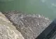 Gunoaiele şi peturile plutesc pe apă la barajul Bicaz